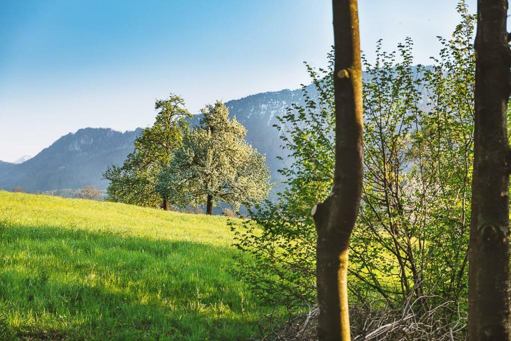 Villa Auszeit beim Oswald Micheldorf in Oberösterreich Exterior foto